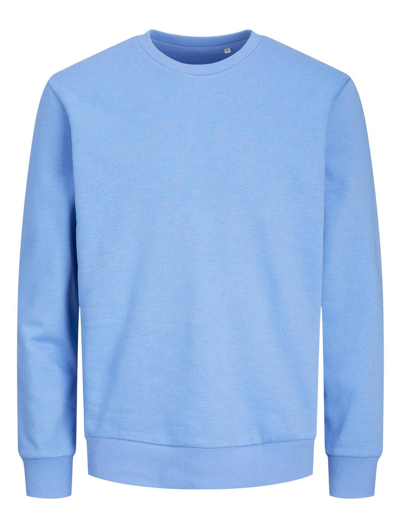 trui-lichtblauw-485fgd-1.jpg