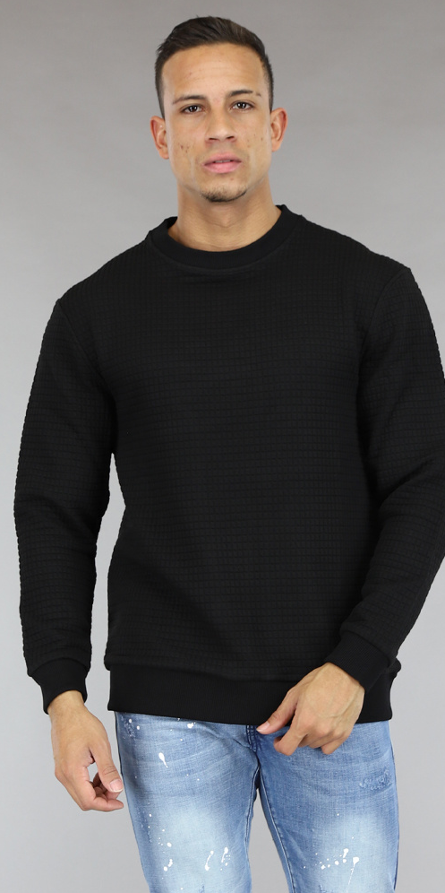 trui-zwart-heren-201fjy.png